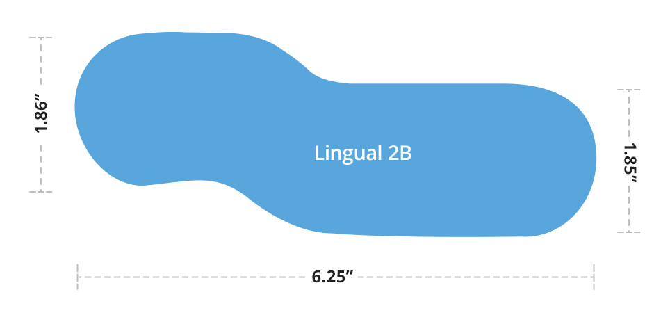 Lingual 2B mirror