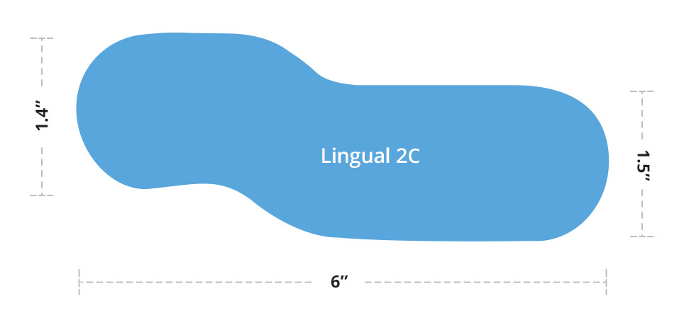 Lingual 2C mirror