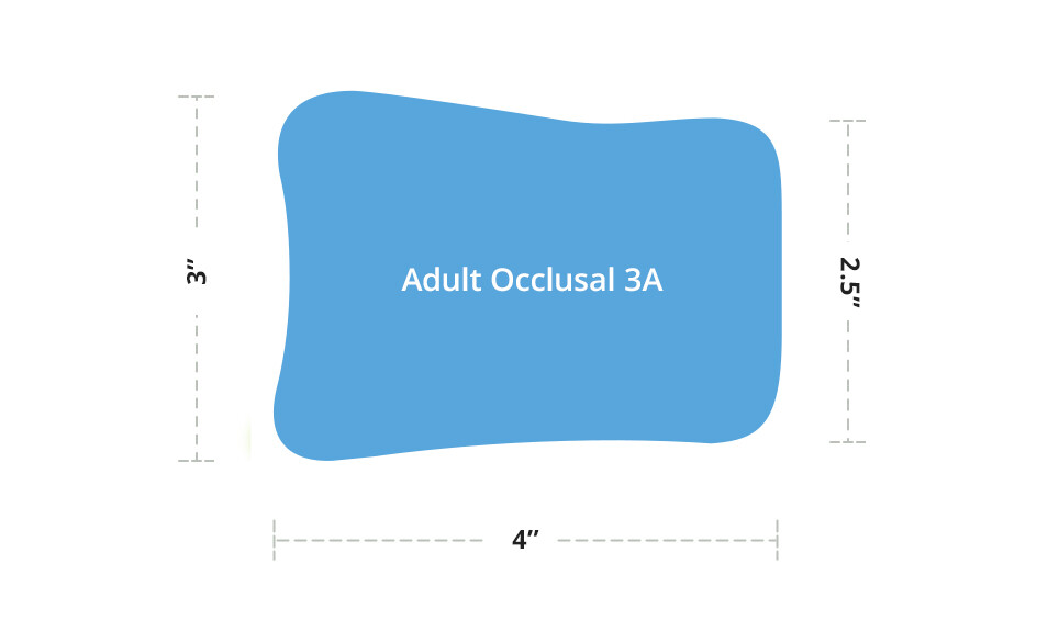 adult occlusal 3A