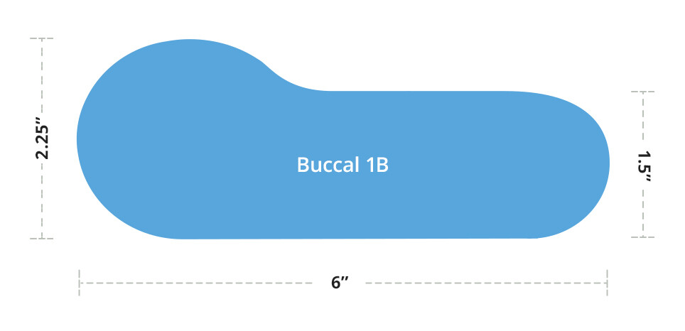 Buccal 1B